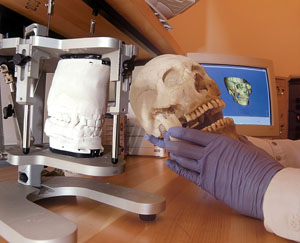 Ομοίωμα κρανίου και τεχνητής οδοντοστοιχίας Ομοίωμα κρανίου και τεχνητής οδοντοστοιχίας