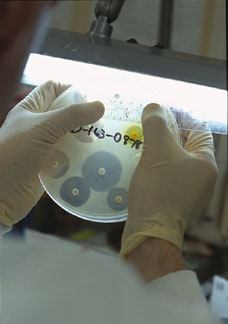 Εργαστήριο - τριβλίο petri