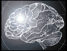 Ανθρώπινος εγκέφαλος