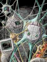 Παράσταση νευρωνικού δικτύου