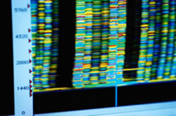 Ζωνώσεις DNA