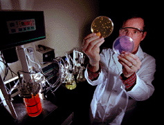 Ερευνητής με τριβλίο