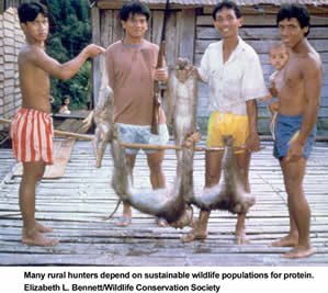 Ιθαγενείς με νεκρό άγριο ζώο