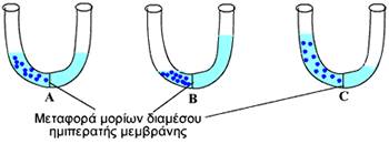 Περατότητα μορίων νερού μέσω ημιπερατής μεμβράνης
