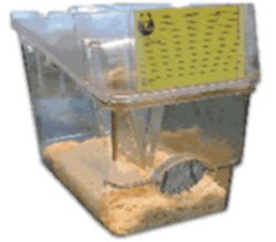 Κλουβί για πειραματόζωο ποντίκι