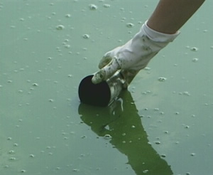 Δειγματοληψία από ρυπασμένη λίμνη