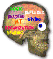 Εγκεφαλικές περιοχές και λειτουργίες Εγκεφαλικές περιοχές και λειτουργίες